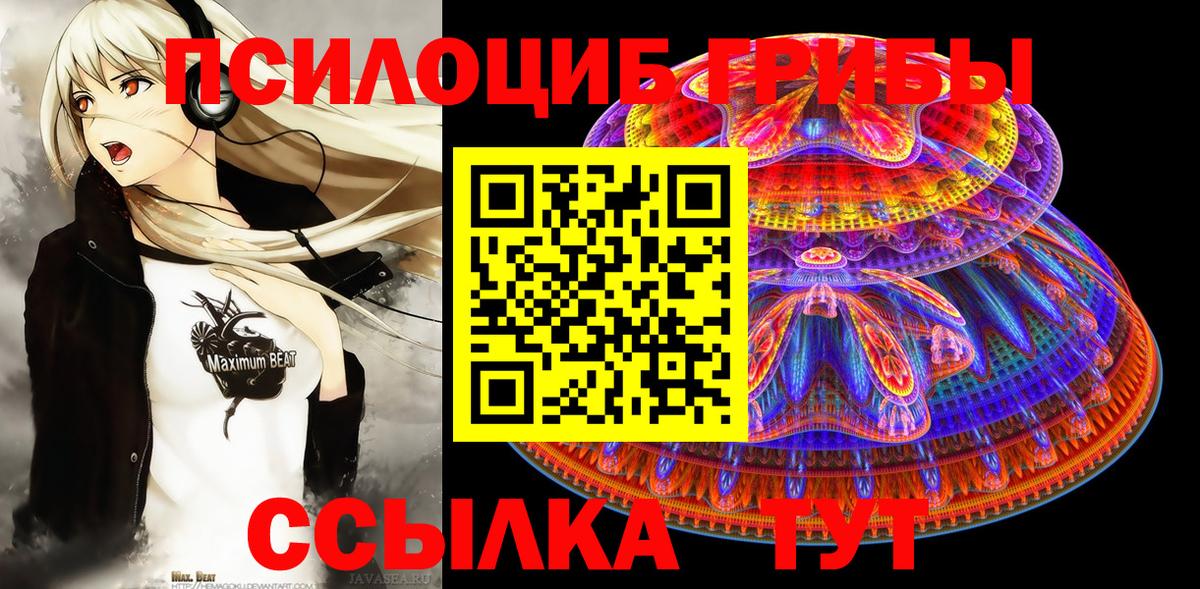 Псилоцибиновые грибы MAGIC MUSHROOMS Ессентуки