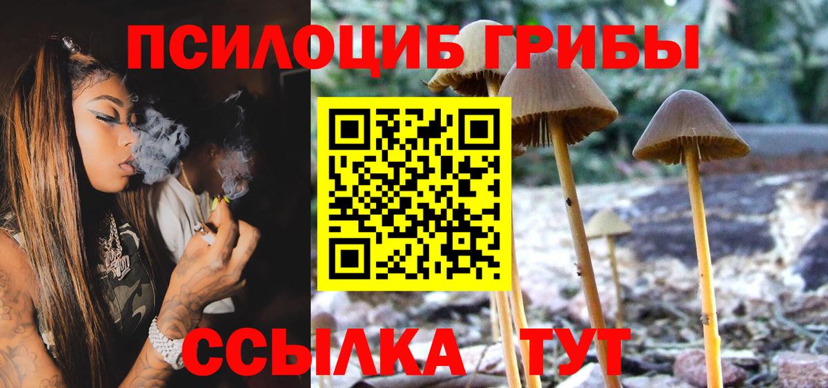 Псилоцибиновые грибы мухоморы  Псилоцибиновые грибы GOLDEN TEACHER  Вход с VPN  Ессентуки 